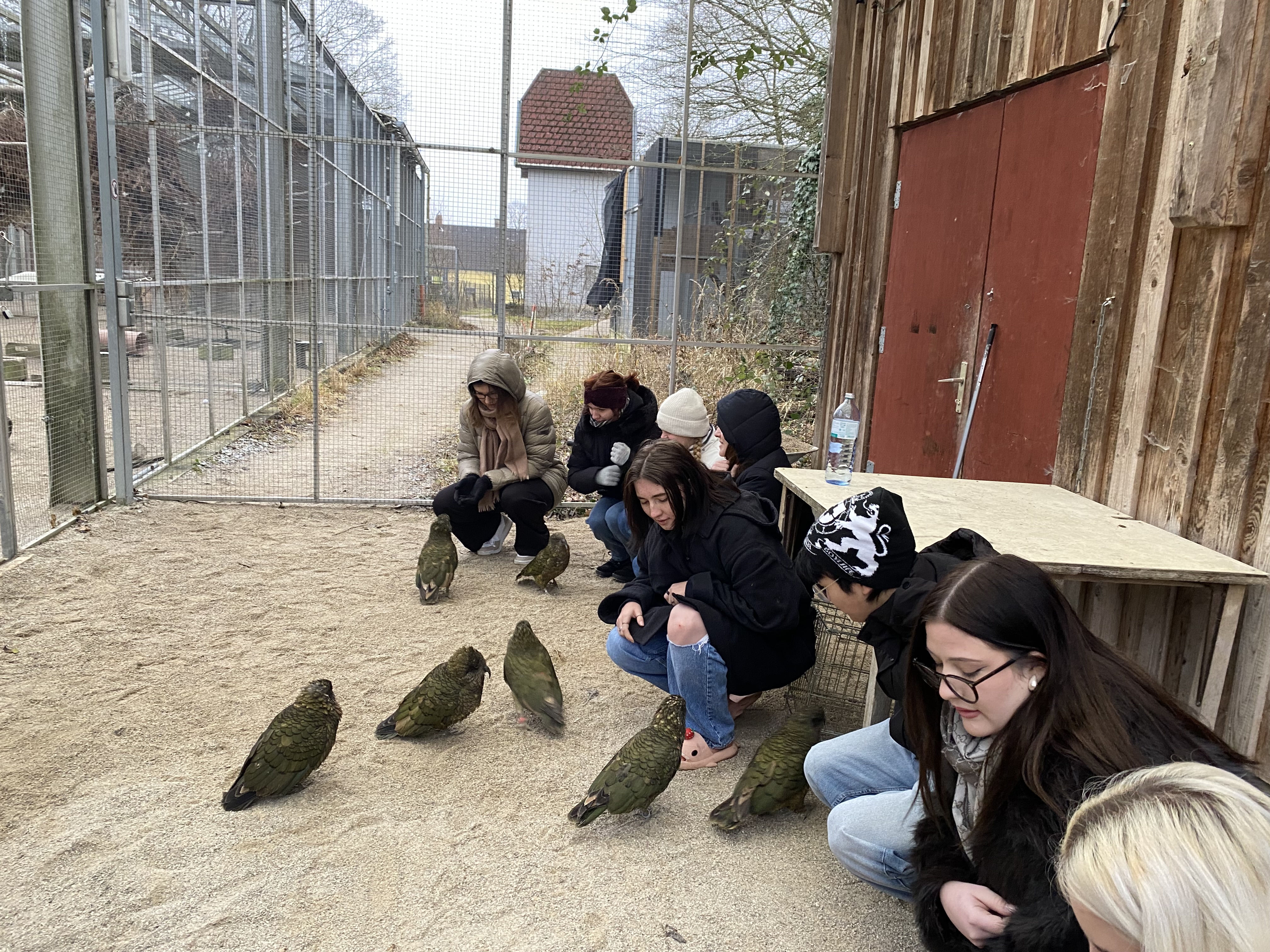 Intelligenz im Tierreich – Besuch der Forschungsstation Haidlhof in Bad Vöslau